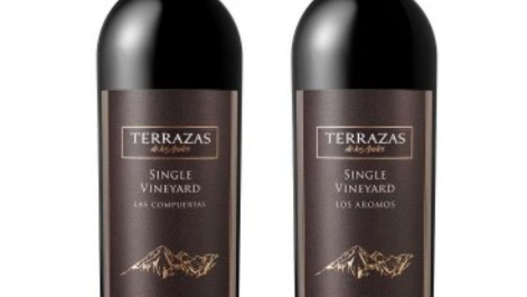 Terrazas de los Andes Single Vineyard