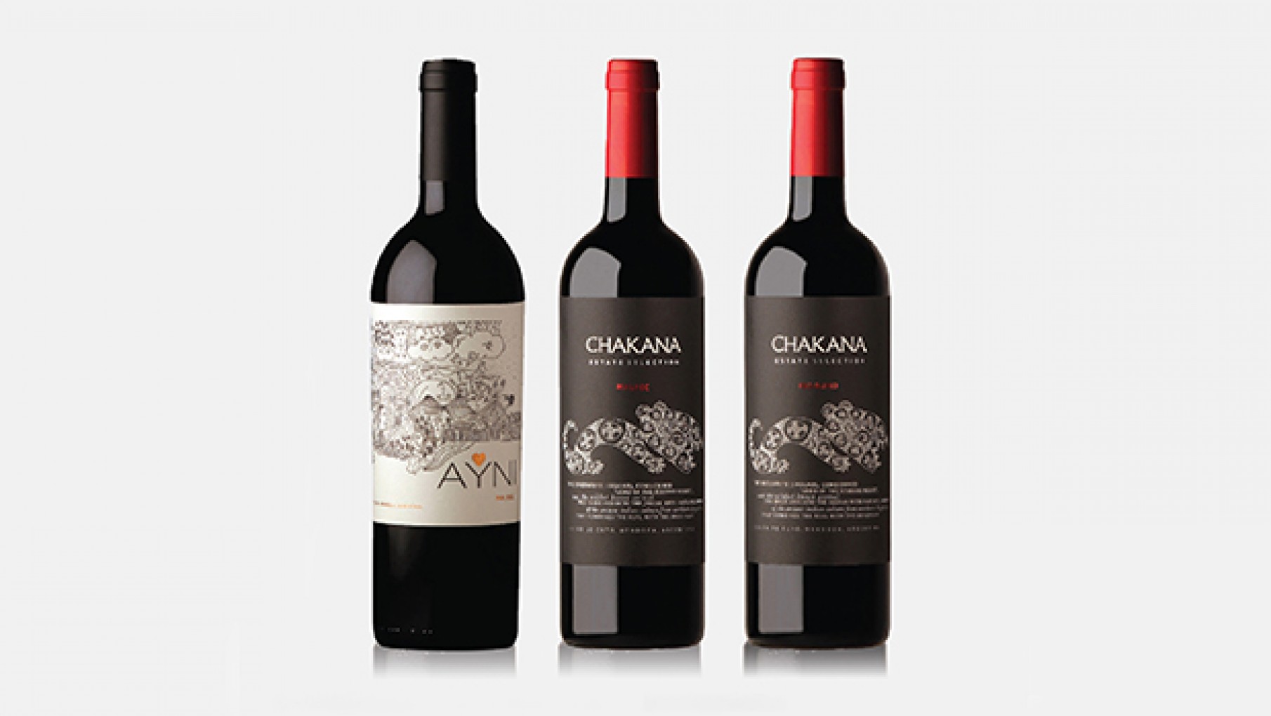 Altos puntajes para Chakana en Descorchados