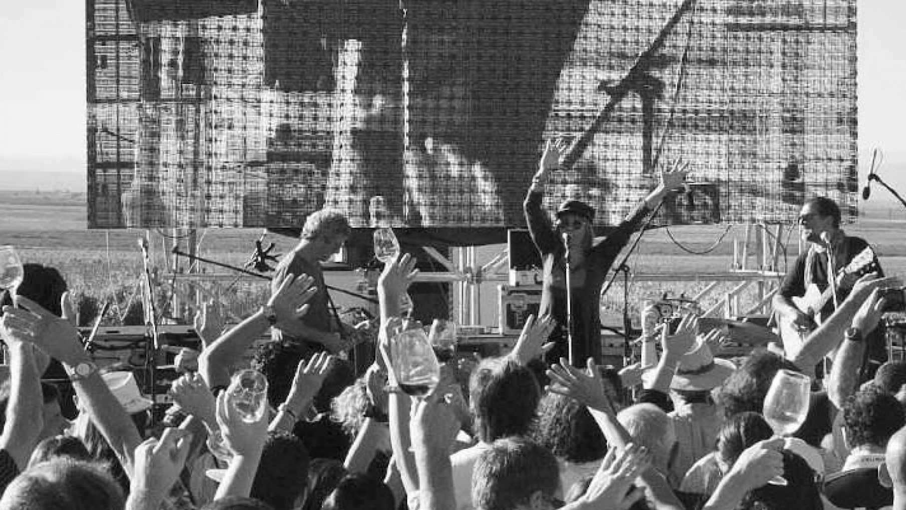 Monteviejo Wine Rock