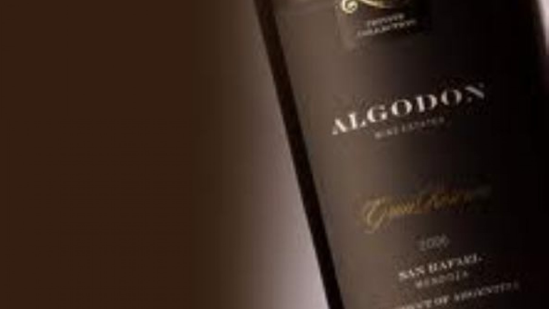 Algodón  y su nuevo vino