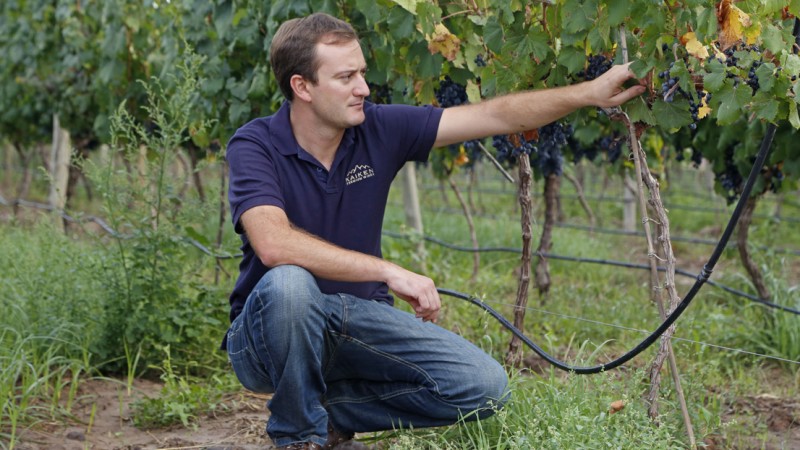 Mirá Quien Vino: Hoy Rogelio Rabino