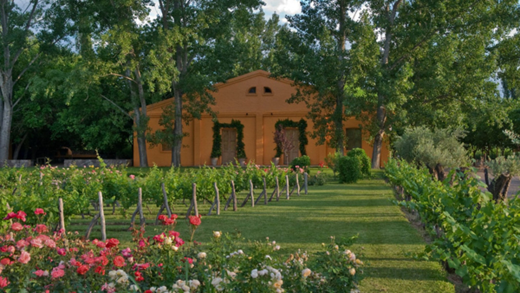 Nueva etapa para Finca La Anita