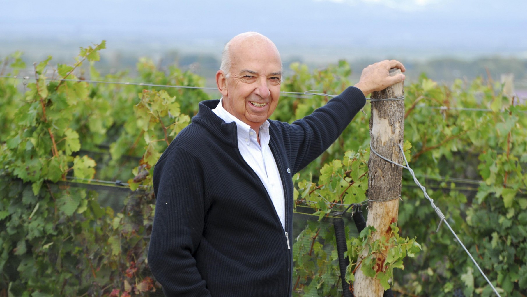 Mirá Quien Vino: Hoy Antonio Mas