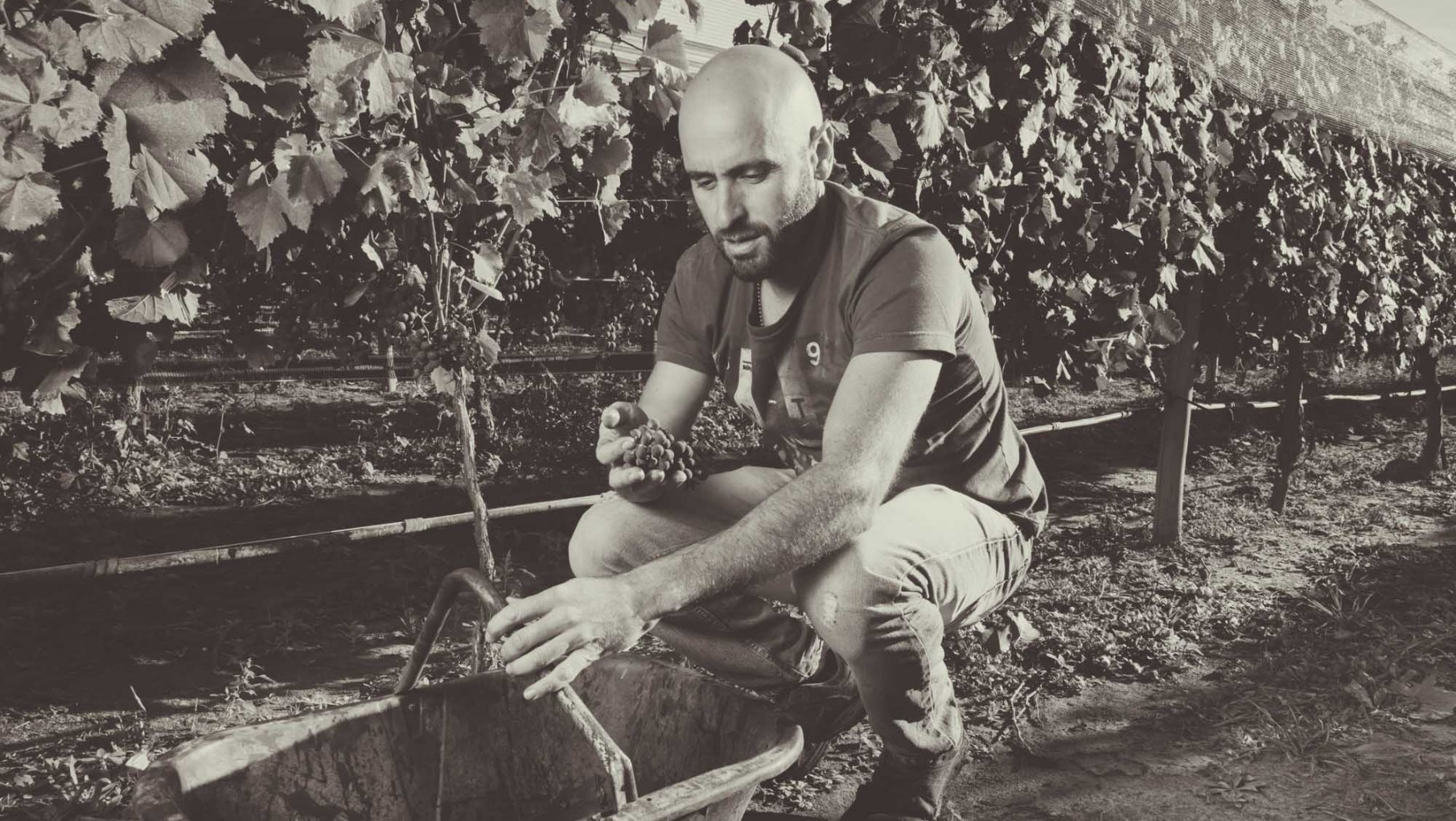 Mirá Quien Vino: Hoy Tomás Stahringer