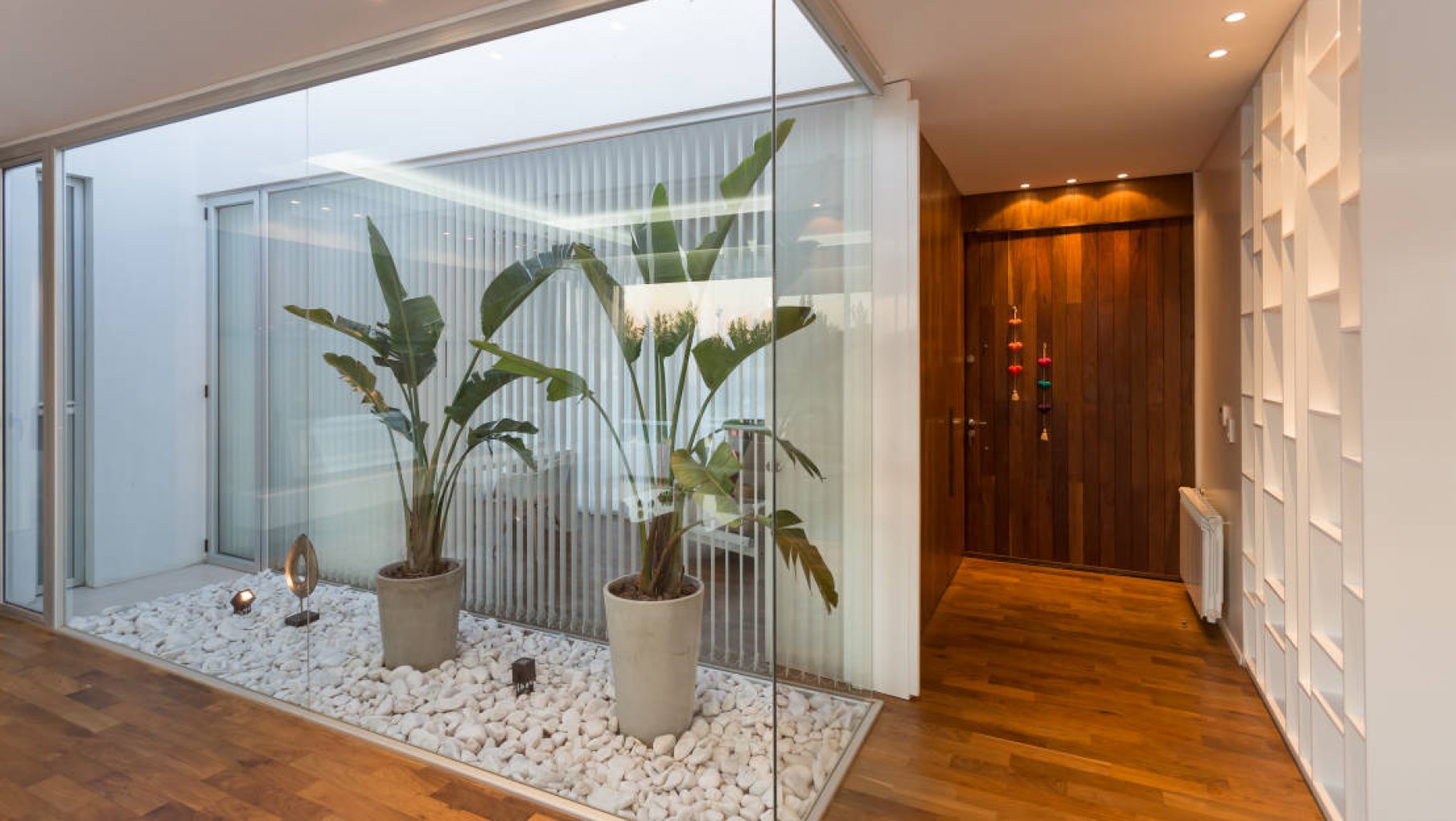 Armá tu jardín interior y disfrutá de la naturaleza