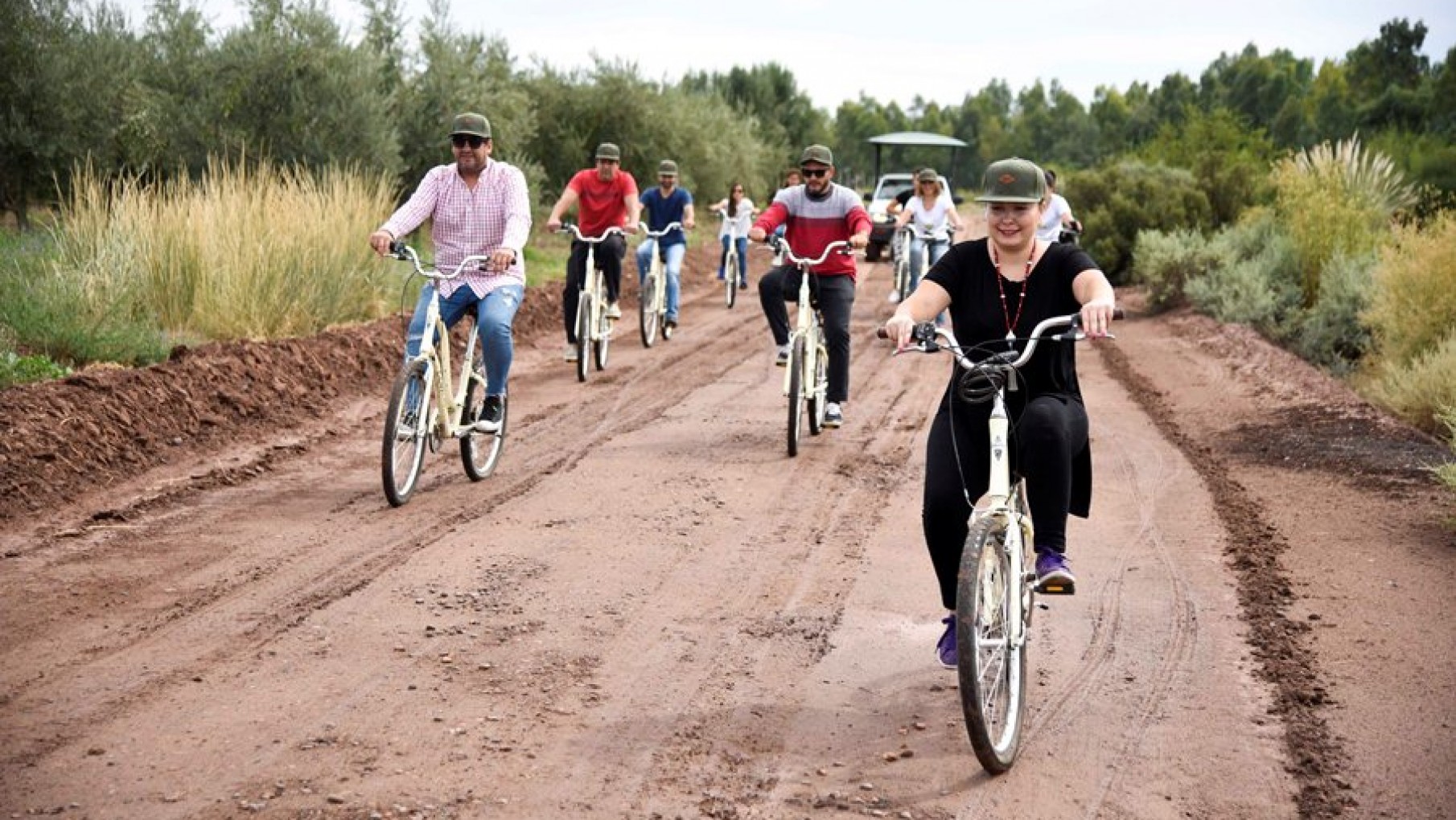 Bici en el olivar en Pan y Oliva