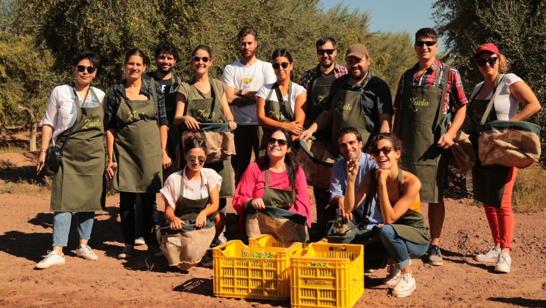 Novello Zuelo, el aceite nuevo que llega para conquistar