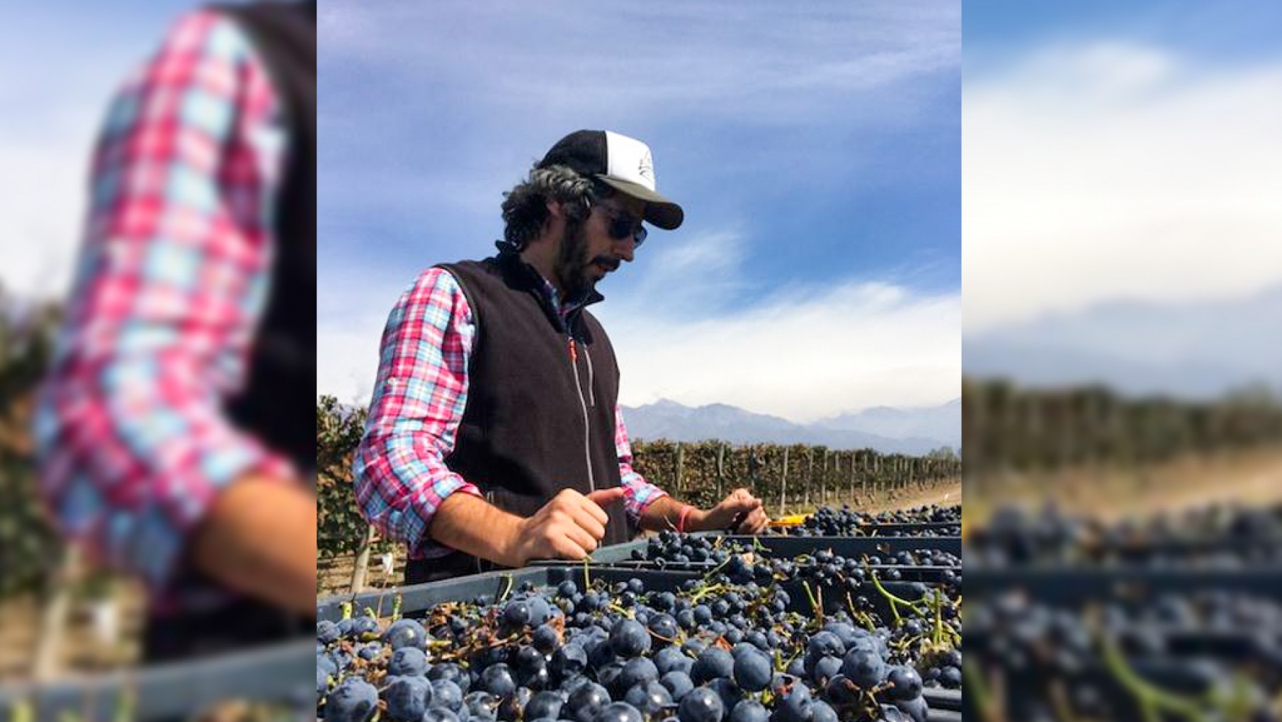 Mirá Quien Vino: Hoy Pablo Benavídes