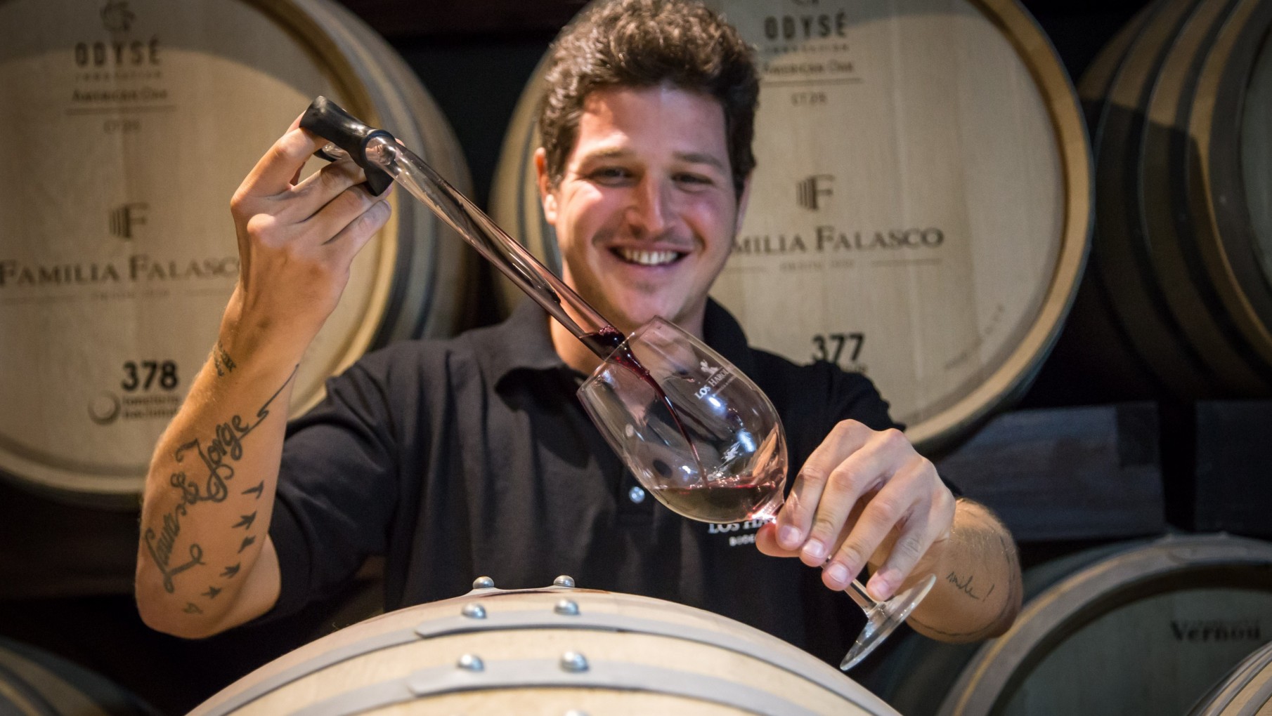 Mirá Quien Vino: Hoy Franco Falasco