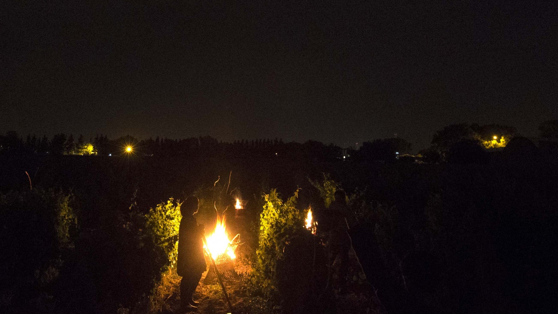 Este verano, Fogón de Bodega Lagarde se enciende por las noches