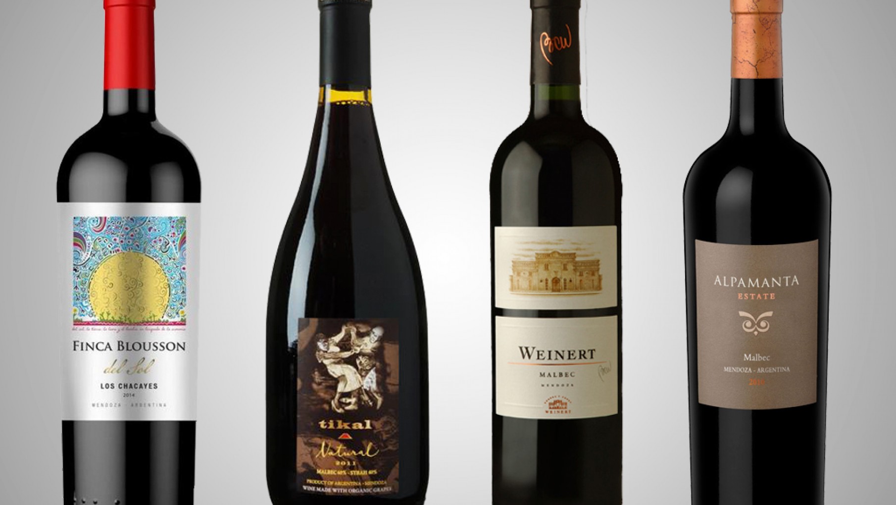 Cuatro Malbec que seguro no conocías y te van a encantar