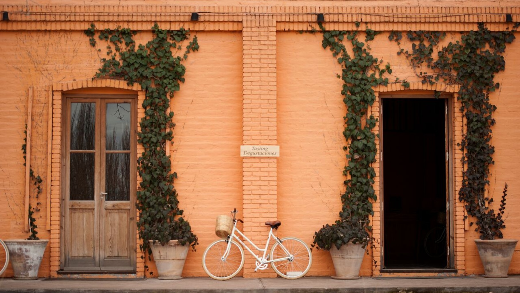 Finca La Anita, presente y futuro de una gran marca