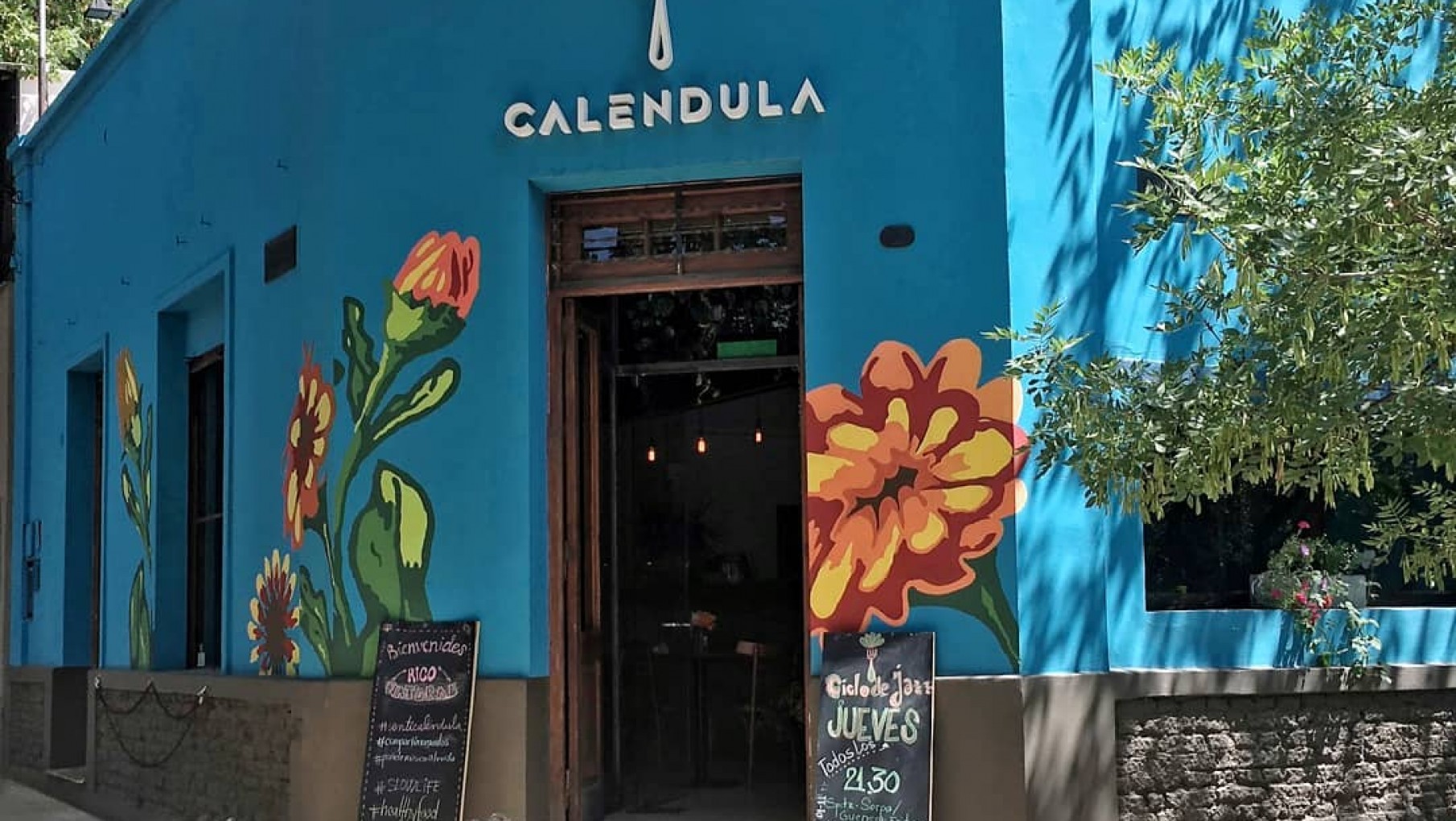 Caléndula: rico, saludable y sustentable
